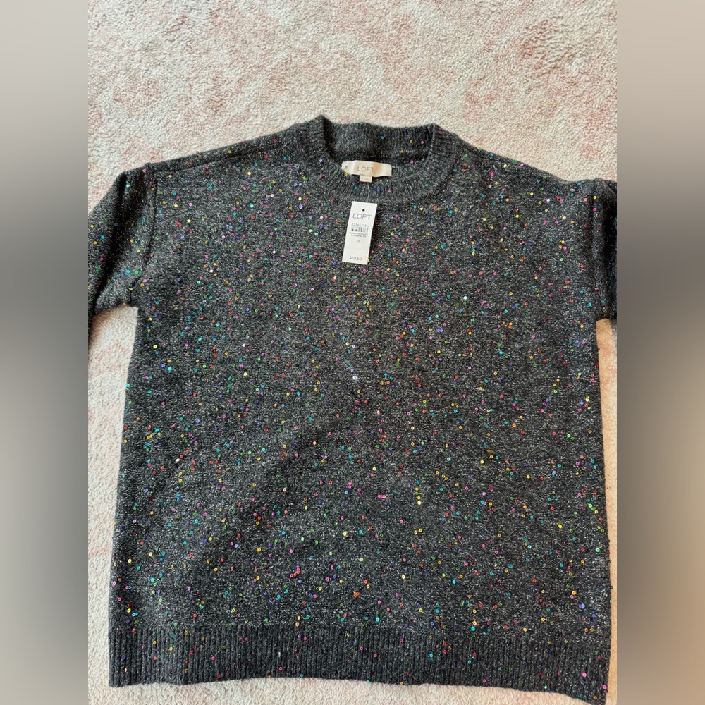 LOFT- Sequined sweater
